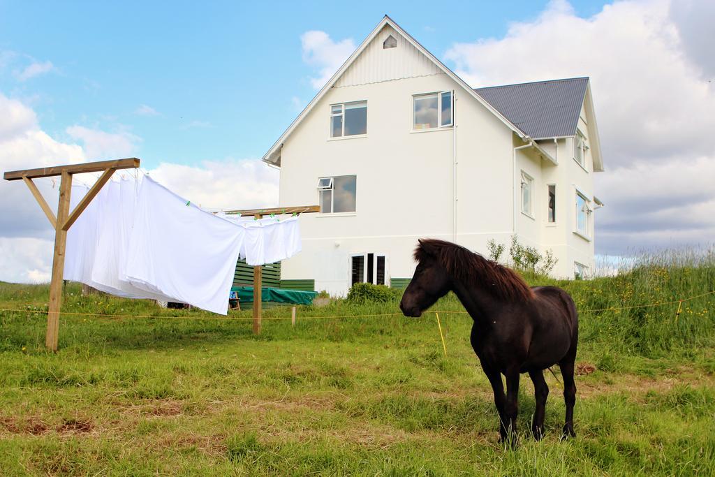 Bed and Breakfast Mengi Countryside Kjarnholt Zewnętrze zdjęcie